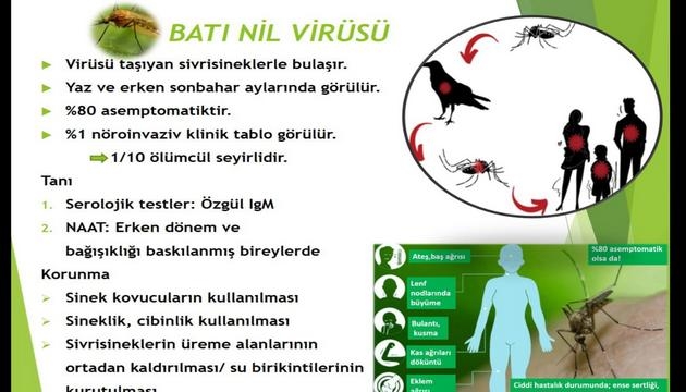 Batı Nil Virüsü Hakkında Bilgi Notu