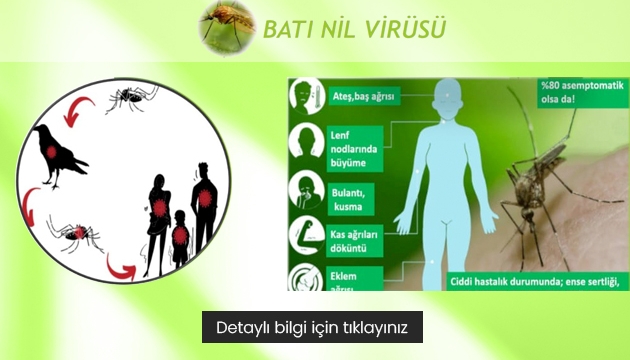 Çevrimiçi Toplantı! Batı Nil Virüsü: Sessiz Tehlike / 7 Ekim 2024